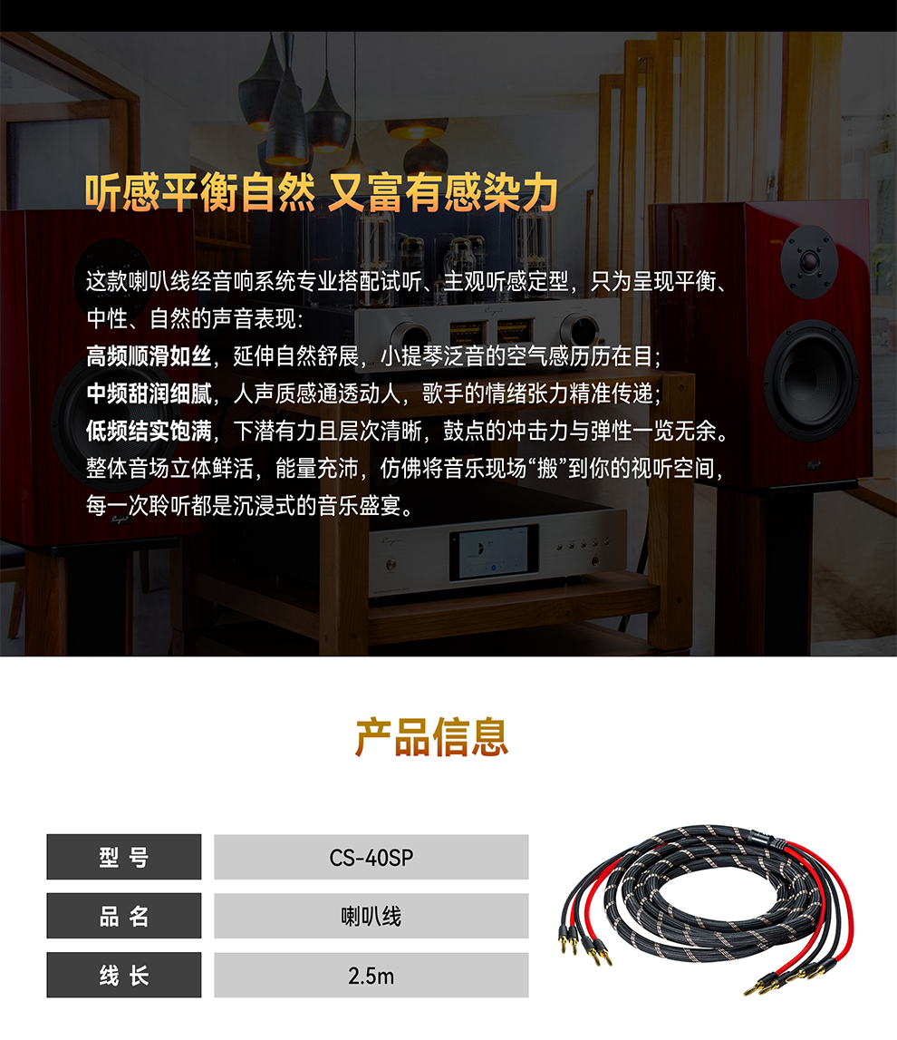 CS-40SP详情页_03.jpg