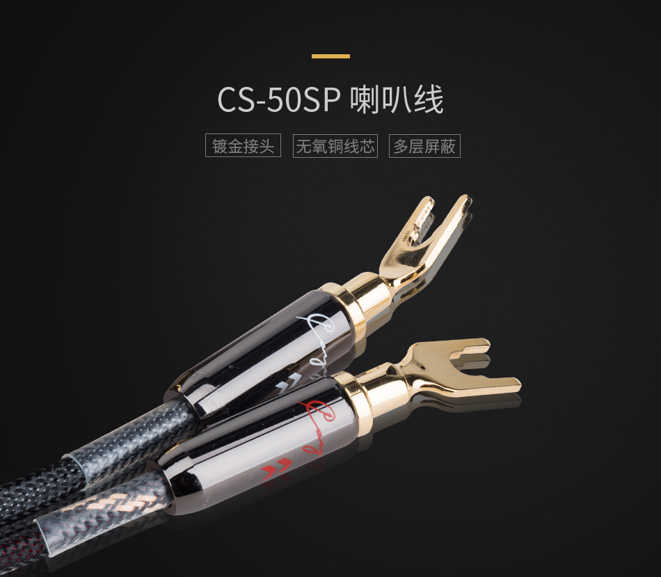 CS-50SP_01.jpg
